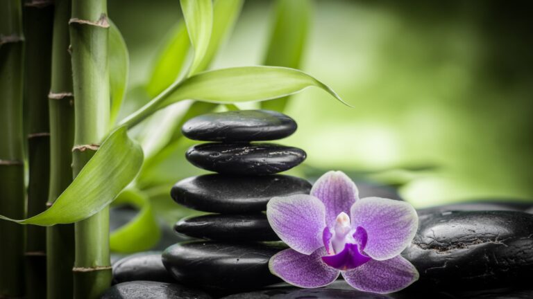 stacked black smooth stones with purple flower and bamboo
