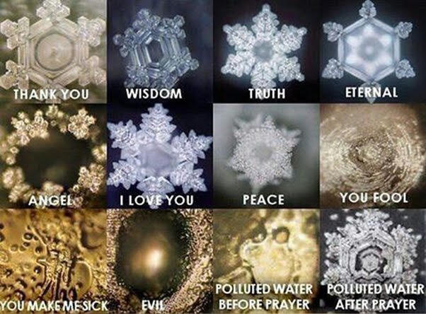 Dr Emoto's water crystal experiment results