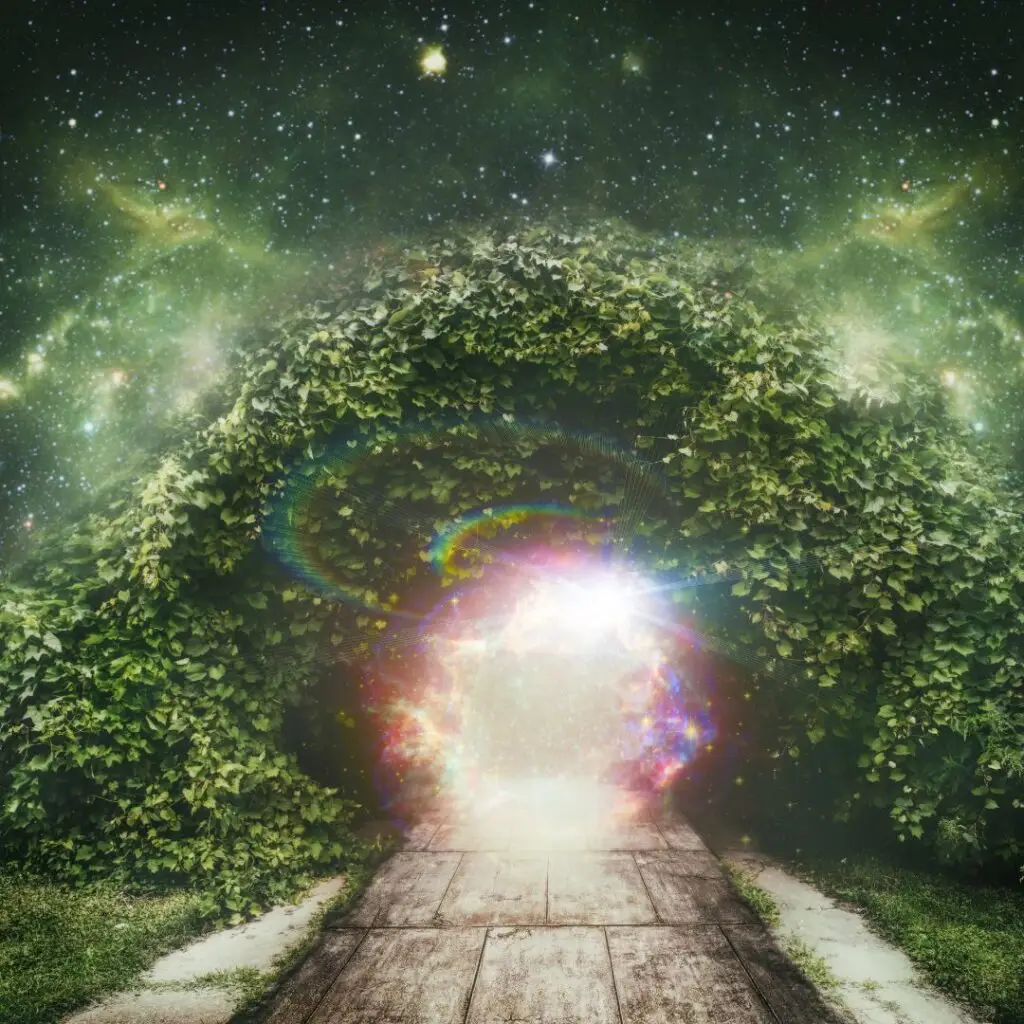 portal of light in leafy forest wall with a path