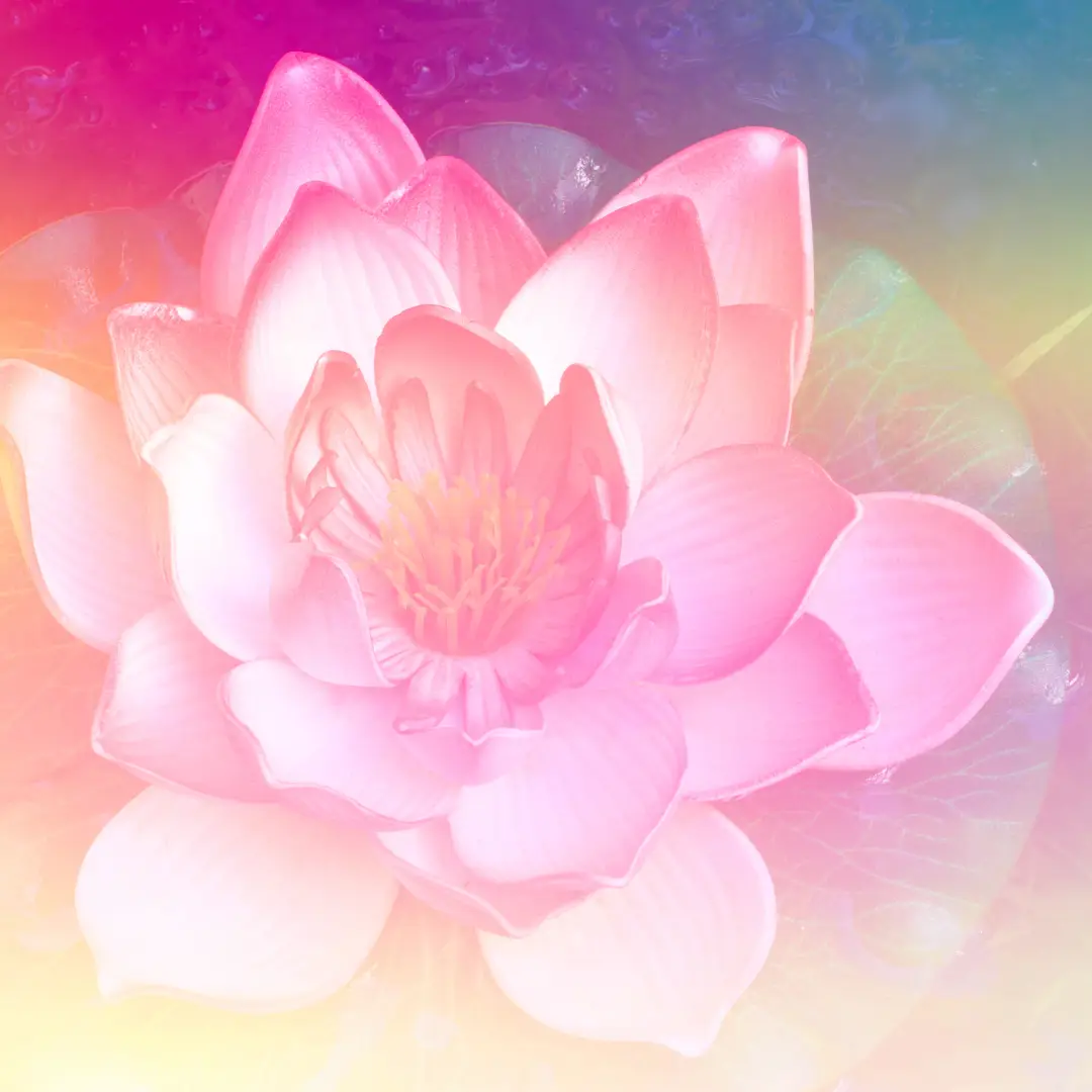 watercolor picture of a pink lotus flower representing spiritual development