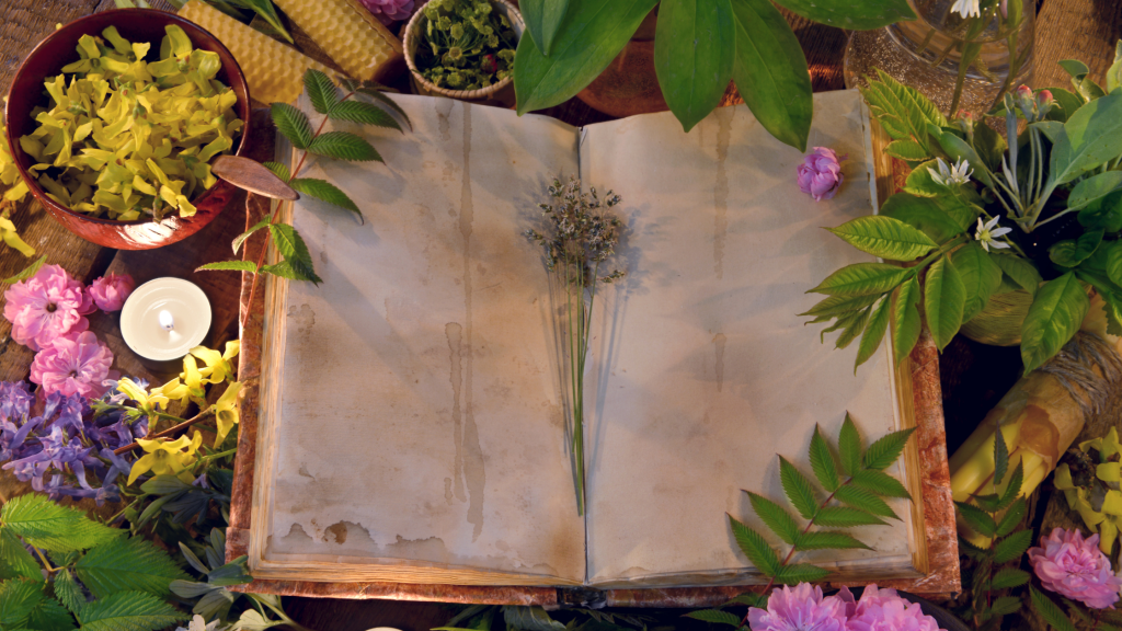 open blank magickal book surrounded by fresh green herbs and flowers