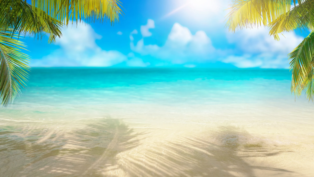 tropical beach with palm trees