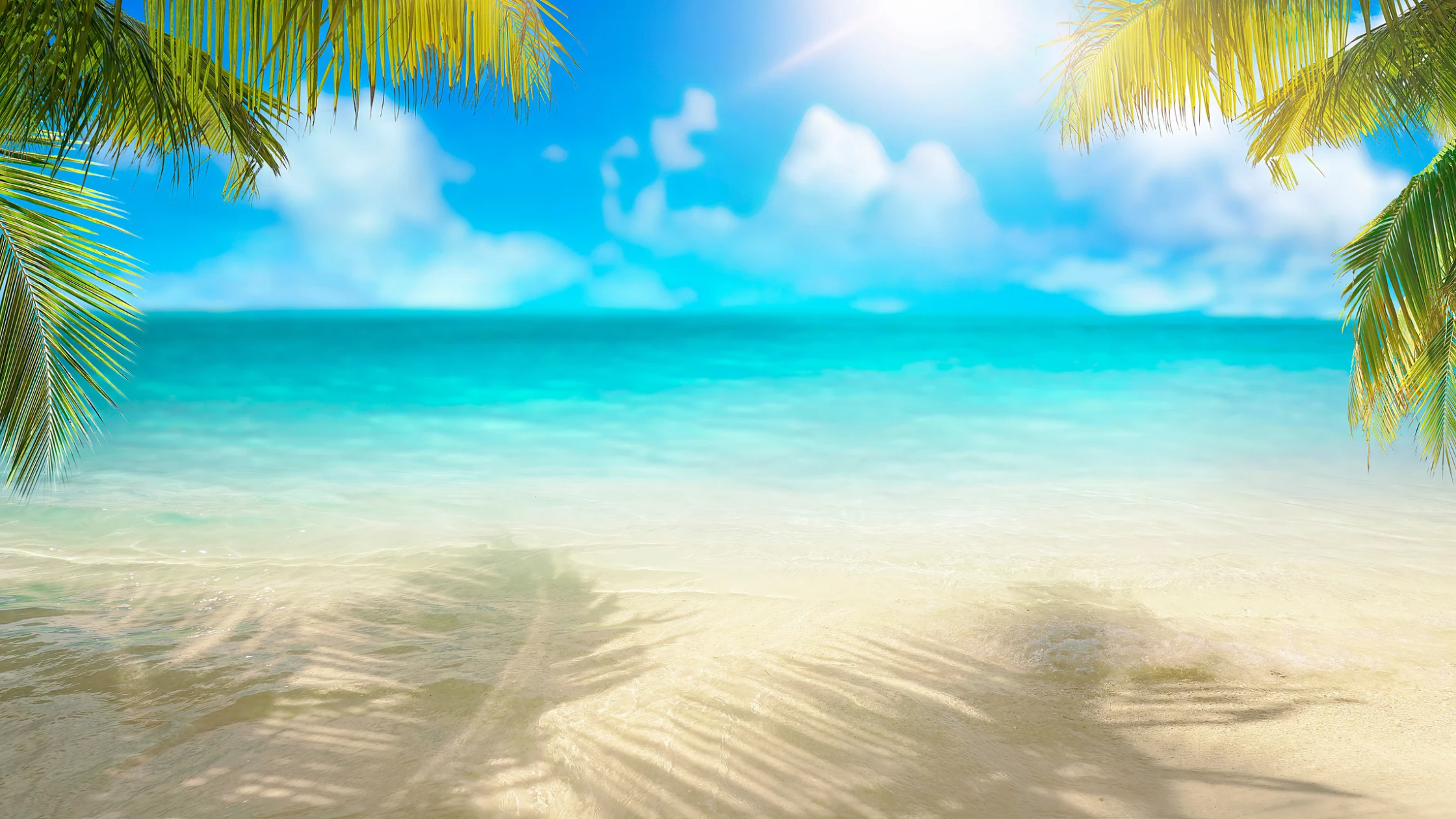 tropical beach with palm trees